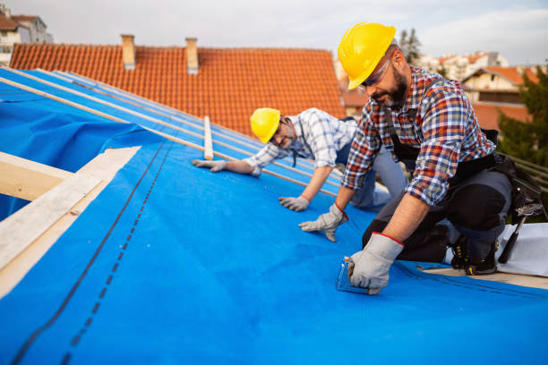 Best Metal Roofing Contractor  in Hunter, OH